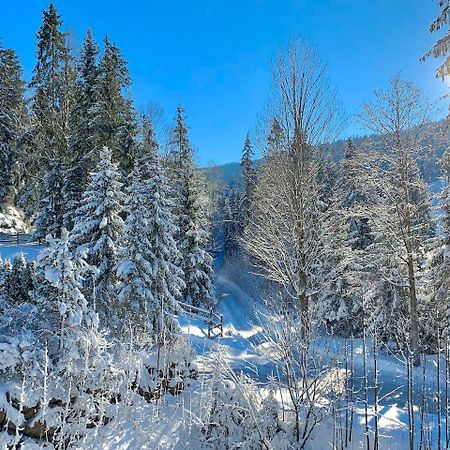 Апартаменты Haus Widmann Шеффау-ам-Вильден-Кайзер Экстерьер фото