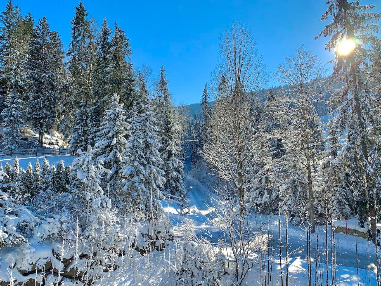 Апартаменты Haus Widmann Шеффау-ам-Вильден-Кайзер Экстерьер фото